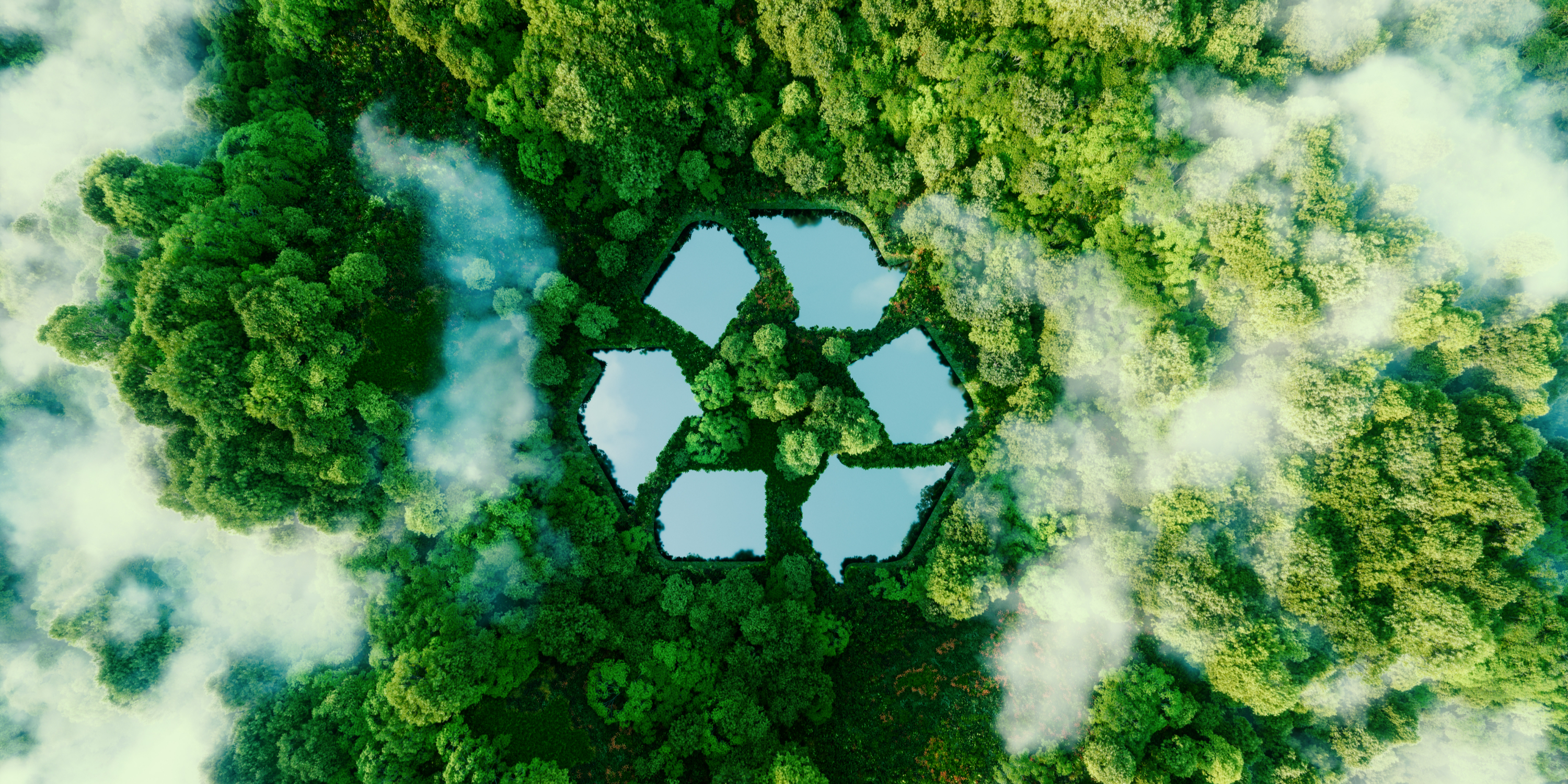 Sustainability